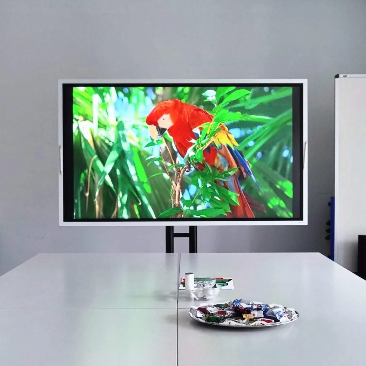 Samsung Flip TV